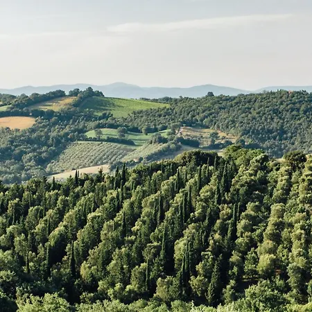 Fontemarinaalta Montorsaio